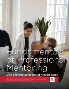 Fundamentals of Professional Mentoring